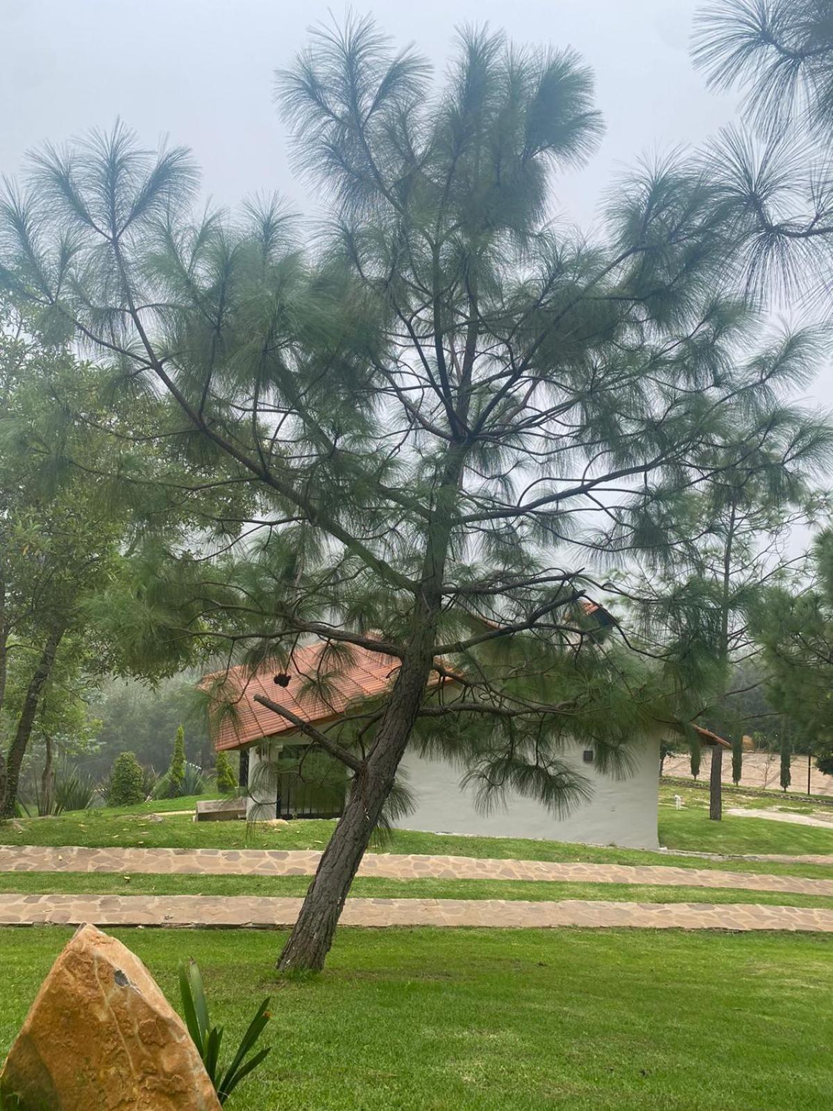 Cabanas Santorito Mazamitla Exteriér fotografie